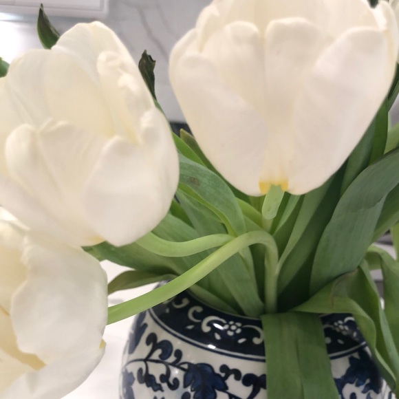 Meet your Posher, Madden - Picture 1 of 1